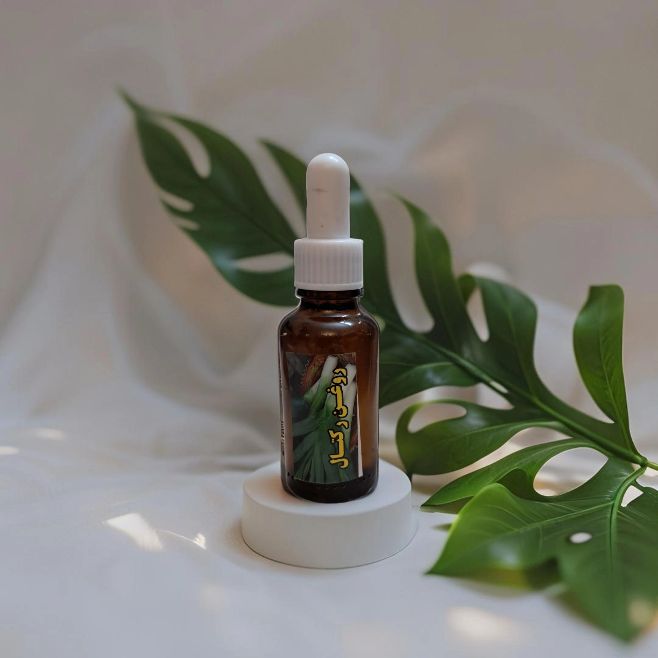 image_Pippit_202505051151 (73) (3).webp